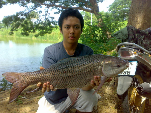  ตกปลา ต้นฤดูฝน  / 2