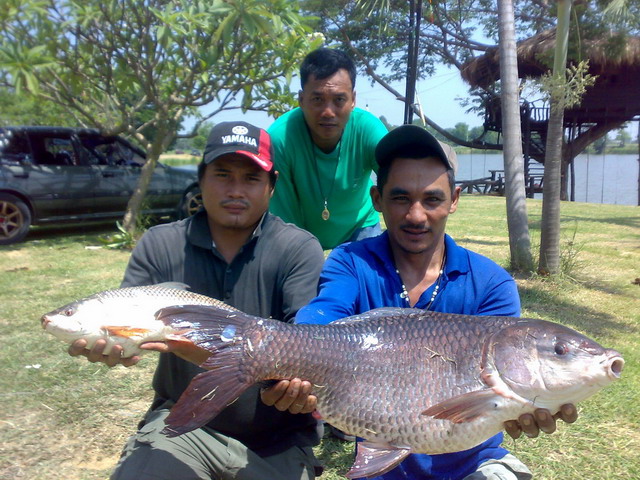 ตกปลา ต้นฤดูฝน  / 1