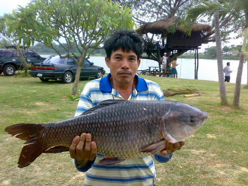 ตกปลา ต้นฤดูฝน  / 1