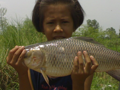 คลองเล็กวันน้ำลง