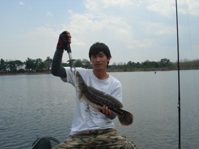 มีภาพมาฝากครับเด็กแพร่