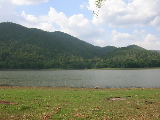 ยังมีอีกเยอะที่เขื่อนศรี(รถถังในน้ำ)จากEN.fishing.