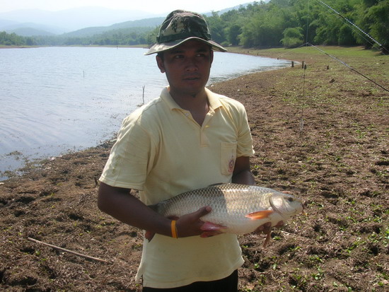 ยังมีอีกเยอะที่เขื่อนศรี(รถถังในน้ำ)จากEN.fishing.