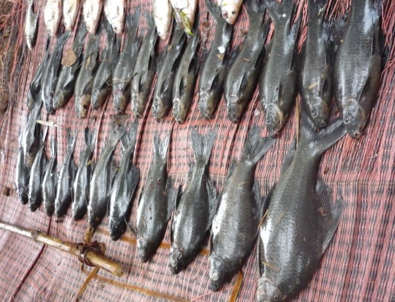 สุดมันกับวันฟ้าคนอง(สียัด) ฅนปั้นรำ