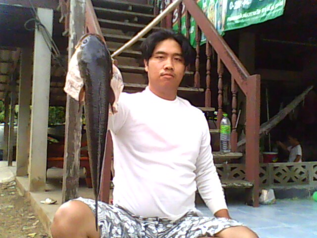 ตัวเดียวเหนื่อยทั้งวัน