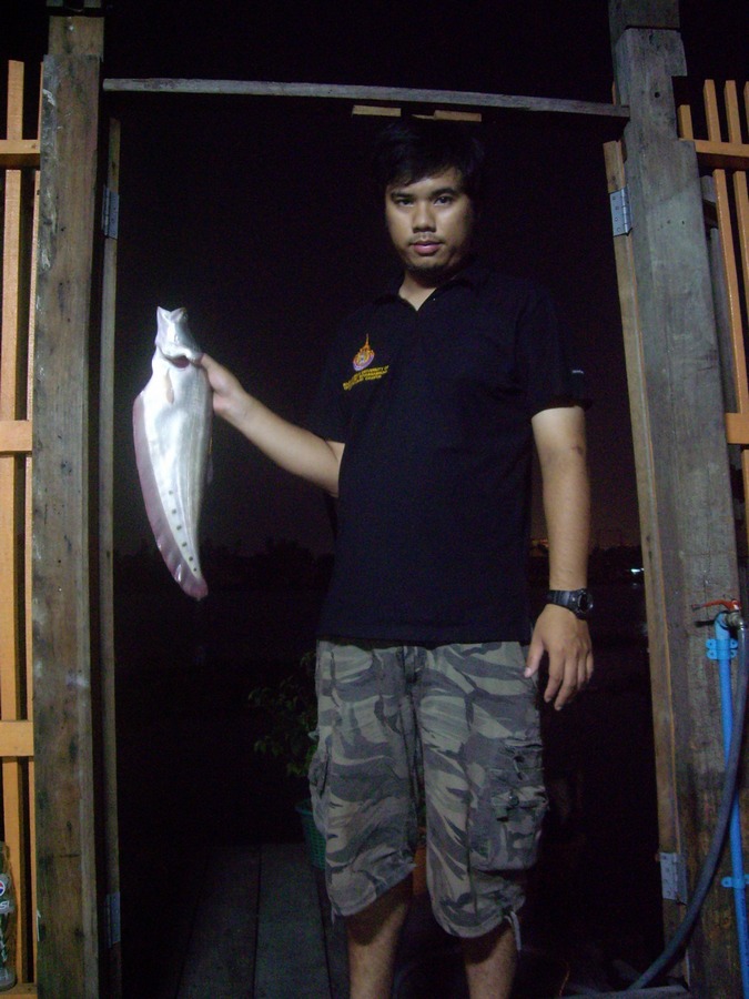 เบาๆๆ.....ที่หน้าบ้าน