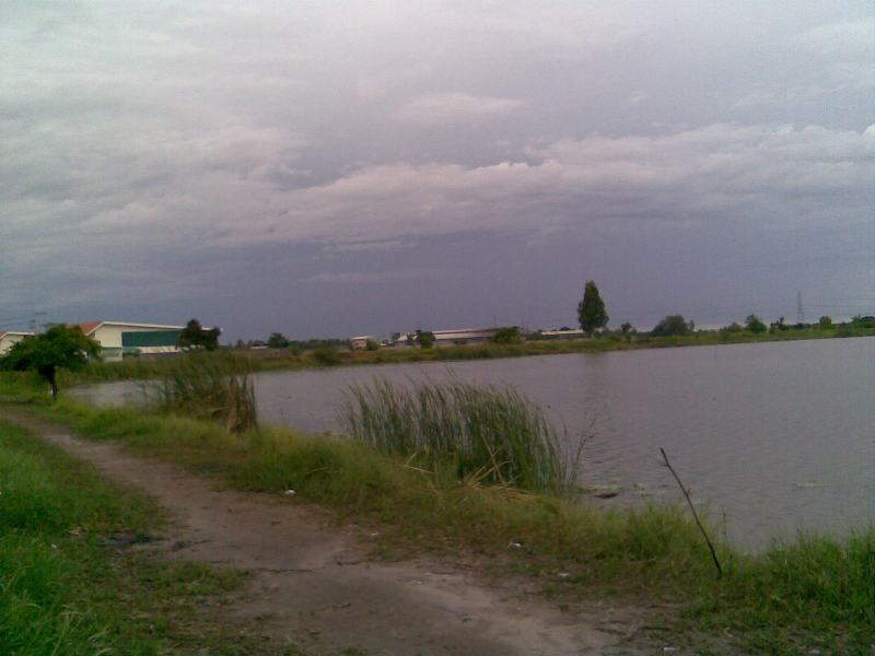 แค่ฝนตกไม่ทั่วฟ้า