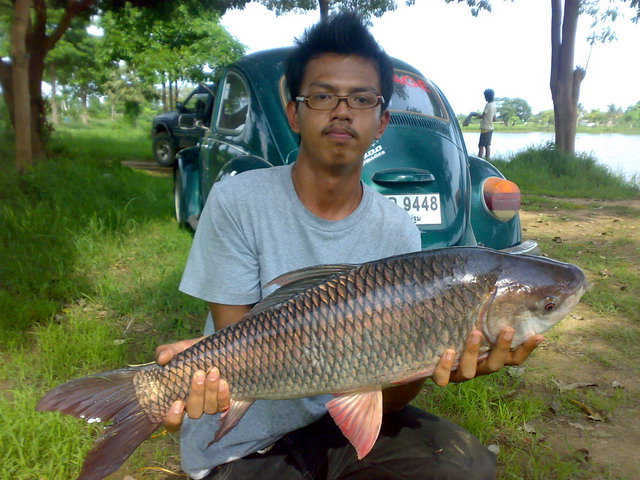   สดๆ วันนี้ครับ พี่น้องครับ