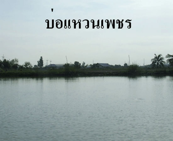ปอาปลาบ่อคับ