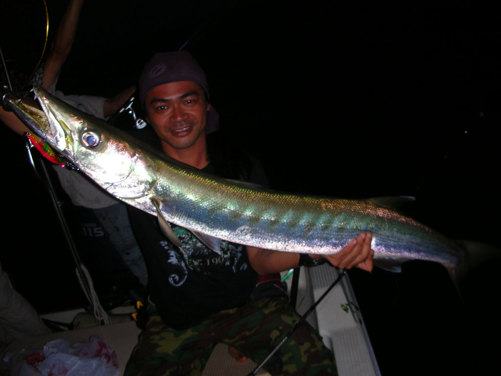 บอกเล่าเก้าสิบ กับ  ปลา.........( Barracuda.)