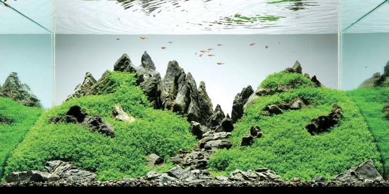 ภาพสวยๆ  ดูแล้วสบายๆๆครับ