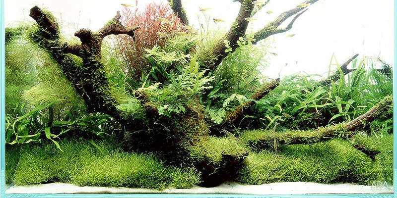 ภาพสวยๆ  ดูแล้วสบายๆๆครับ