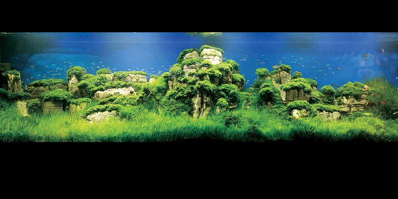 ภาพสวยๆ  ดูแล้วสบายๆๆครับ