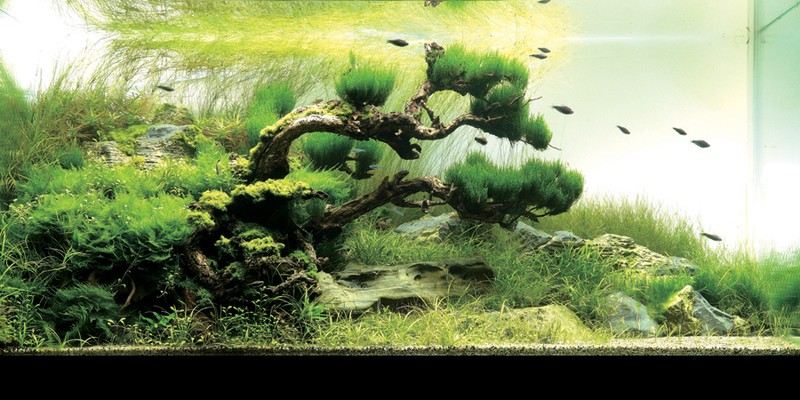 ภาพสวยๆ  ดูแล้วสบายๆๆครับ