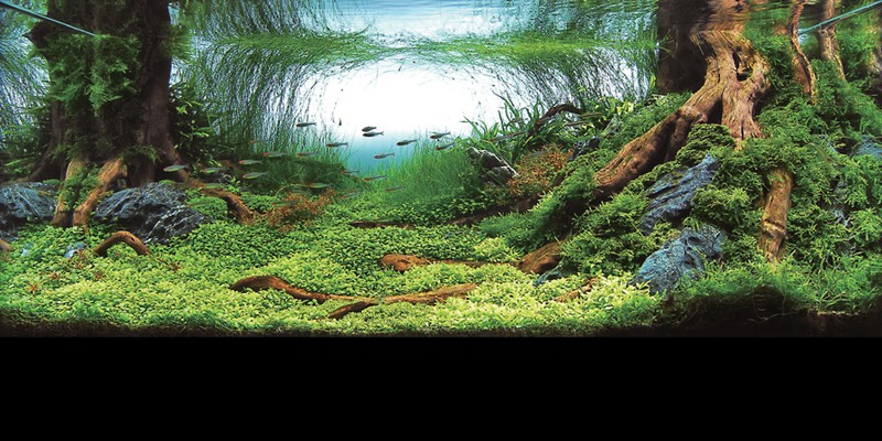 ภาพสวยๆ  ดูแล้วสบายๆๆครับ