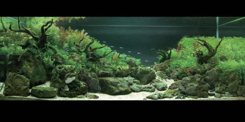ภาพสวยๆ  ดูแล้วสบายๆๆครับ