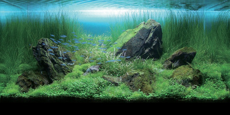 ภาพสวยๆ  ดูแล้วสบายๆๆครับ
