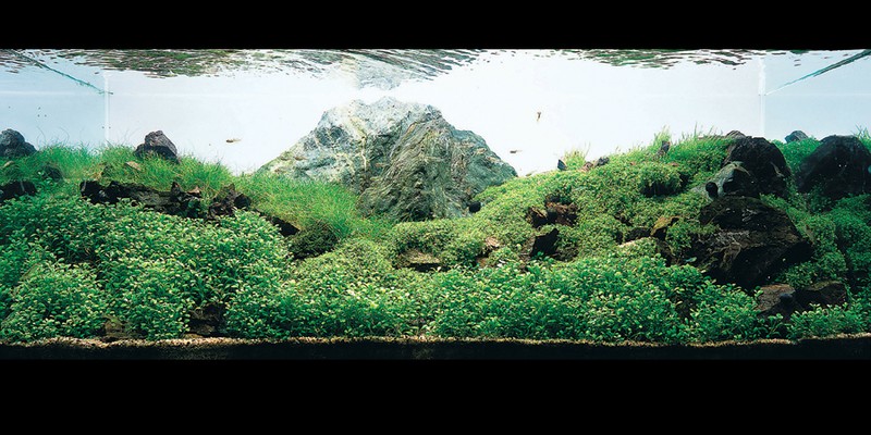 ภาพสวยๆ  ดูแล้วสบายๆๆครับ
