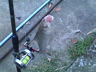 เห็นน้องเล่นน้ำเลยกดซะ