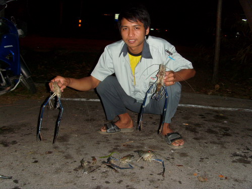 กุ้งกรุงเก่าครับ