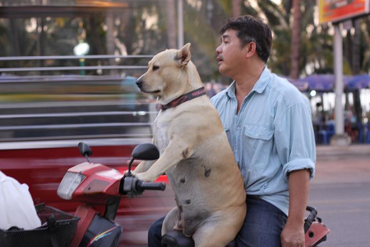 ตกปลากลับบ้าน เจอภาพซึ้งมากๆ