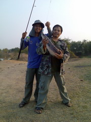 ทีเด็ดสามแหวน