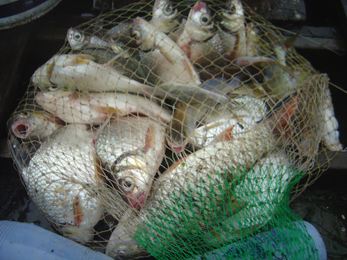  เขาแหลม