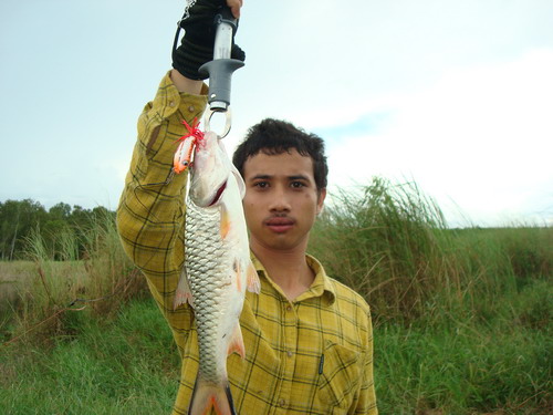 **กบปีศาจทีม..กับวันอาทิตย์ที่ผ่านมา**