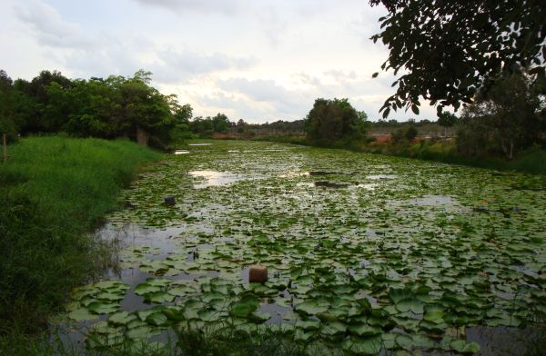 ขอเพิ่มหมาย ปลากระสง ธรรมชาติ เมืองจันท์