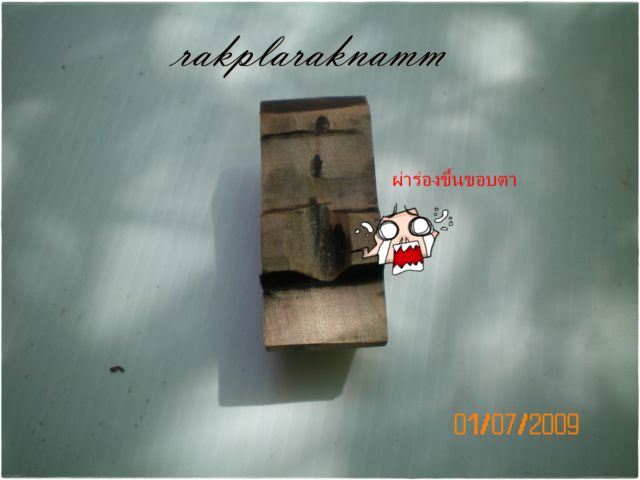กบครับ(ขอมาจัดไป)