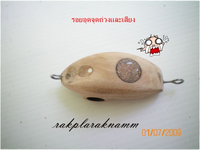 กบครับ(ขอมาจัดไป)