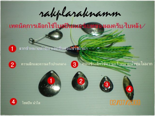 สปินเนอร์เบทของผม+เทคนิคส่วนตัว