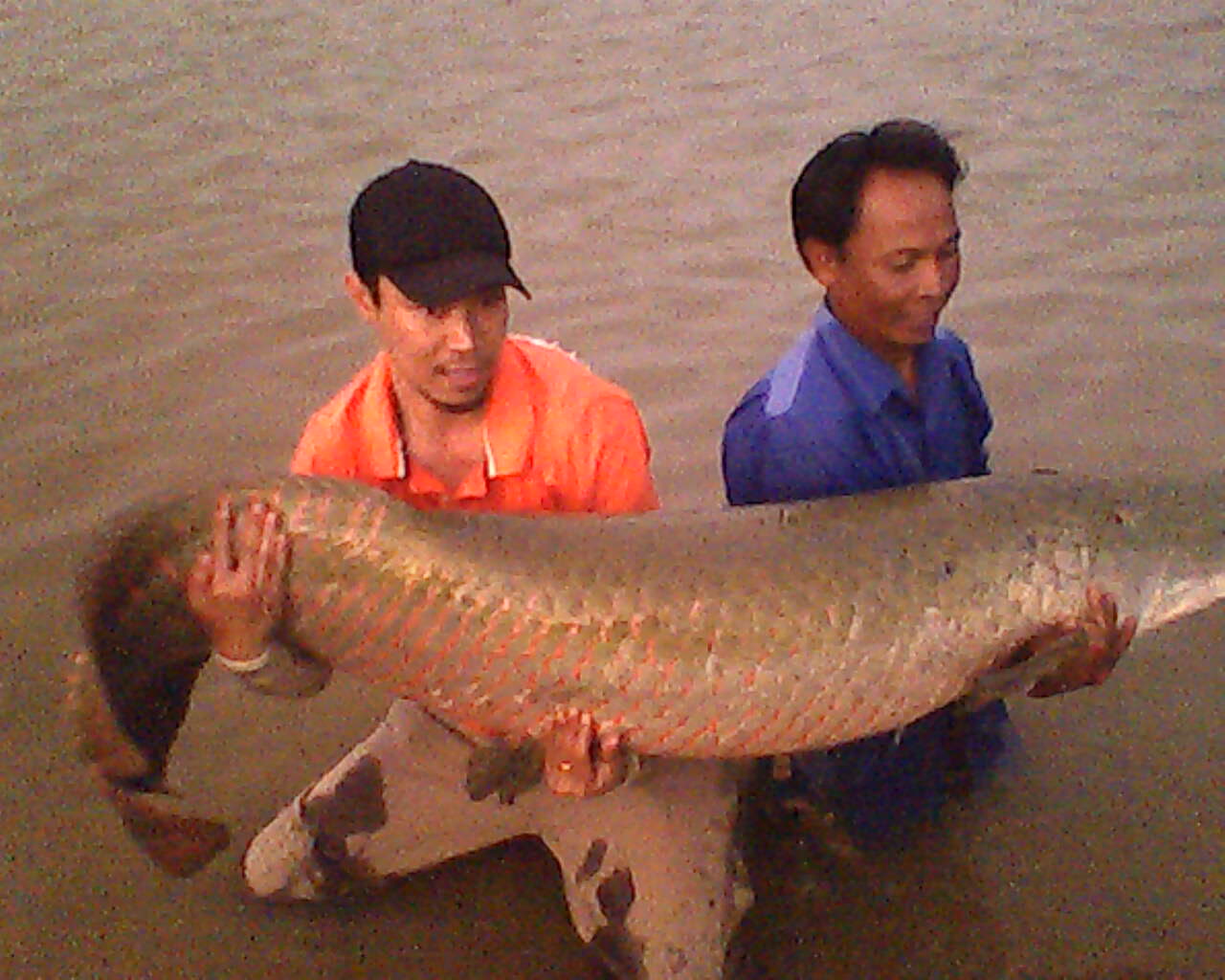 เหยื่อแรง ๆ ที่กำลังมาแรงครับ