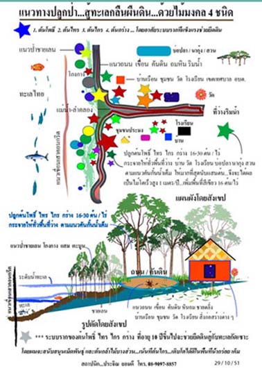 ร่วมปลูกต้นไกรทั่วป่าไทย...ถวายในหลวงเรา