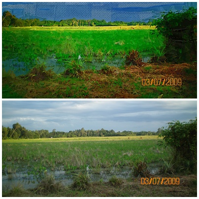 ลองดูหน่อยเค้าบอกทำไม่ยากไว้ทำโลโก้ สวยๆ