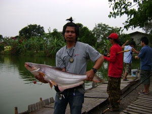 โชคอนันต์