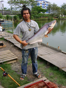 โชคอนันต์1