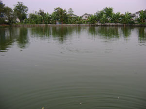 โชคอนันต์1