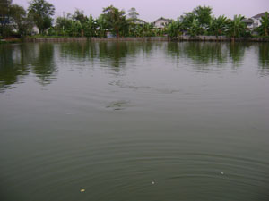โชคอนันต์1