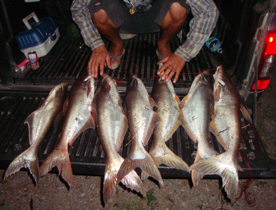 บ่อเด็ดบางประหัน