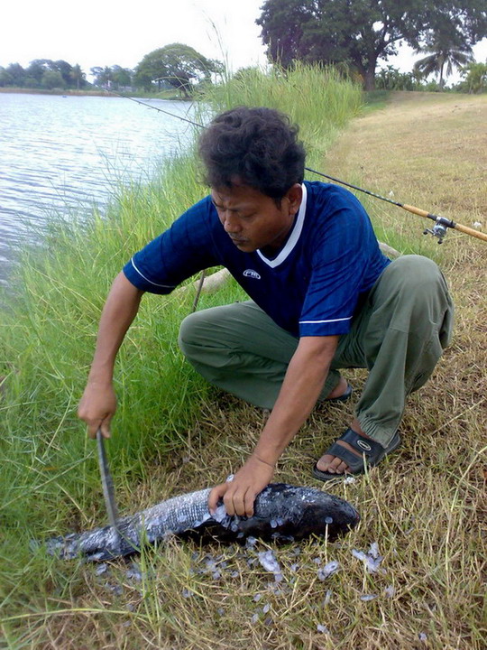 เพรชฆาต แห่งบ่อพลอย ใจไม่แข็งห้ามดู