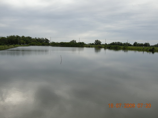 ตกปลาช่อนคลองสวนวังกุ้ง