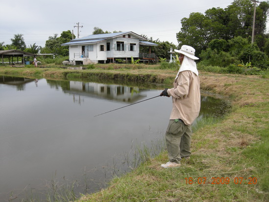 ตกปลาช่อนคลองสวนวังกุ้ง