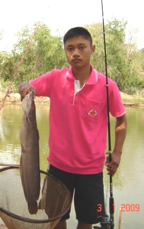 ปลาเล็กยันปลาใหญ่ความภูมใจของนักเย่อปลา