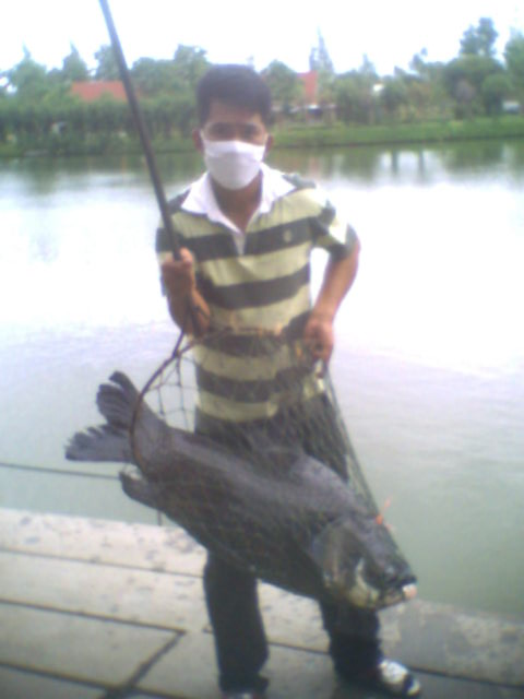 หลบหวัด 2009 ไปตกปลาชะอำกัน