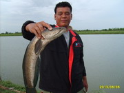 รวมภาพเด็ด