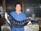 รวมภาพเด็ด