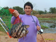 รวมภาพเด็ด
