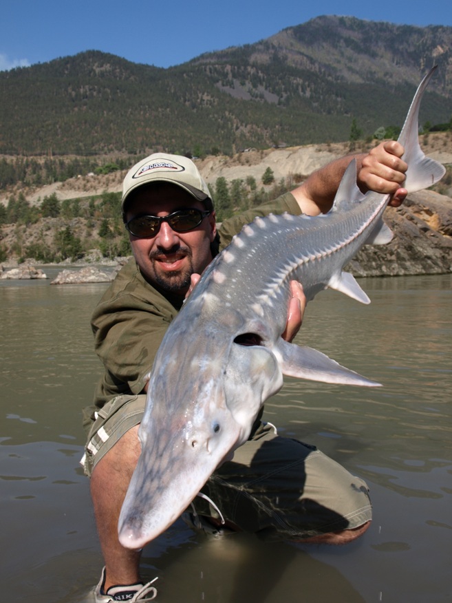 Sturgeon Fishing / Canada