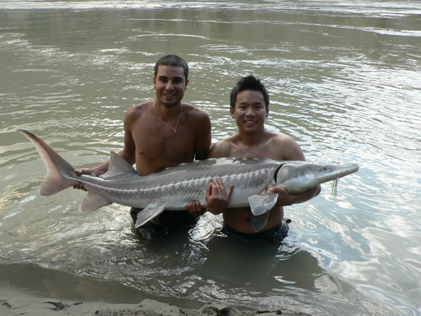 Sturgeon Fishing / Canada